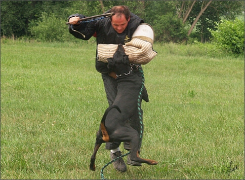 Cliff - training 6/2007